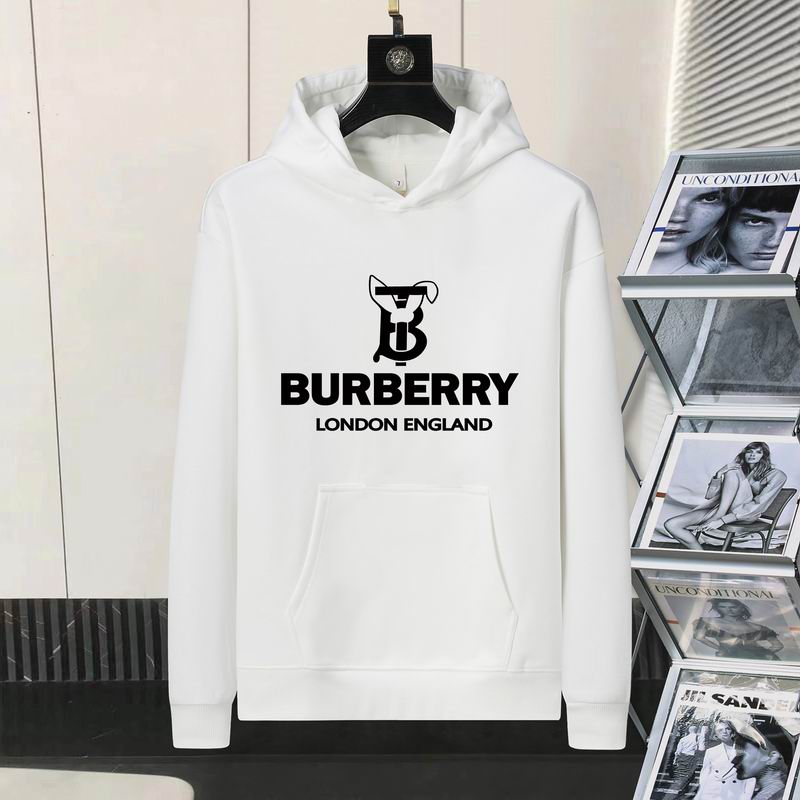 Burberry Hoodie Mens ID:20241022-137